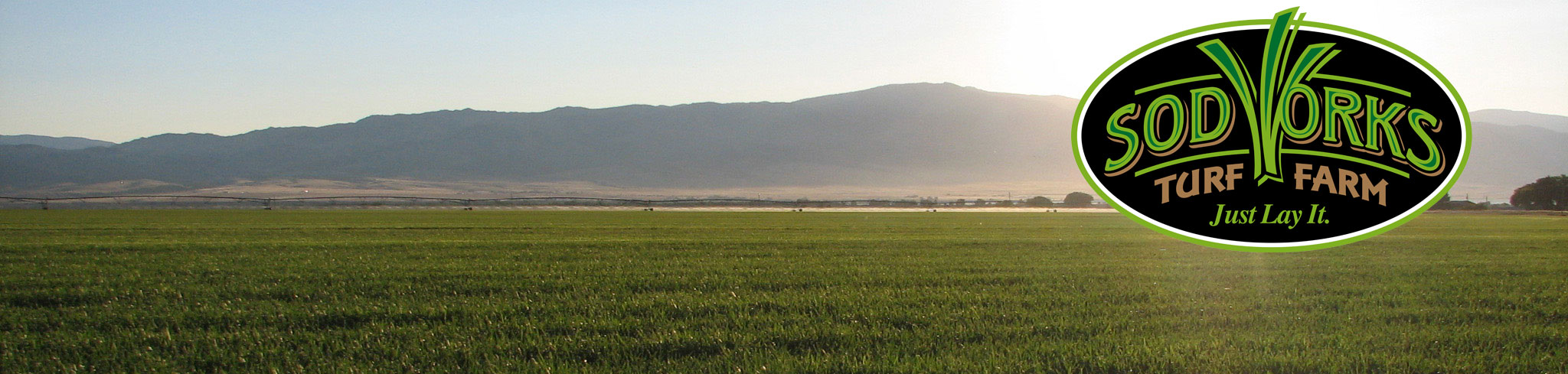 Our montana sod farm