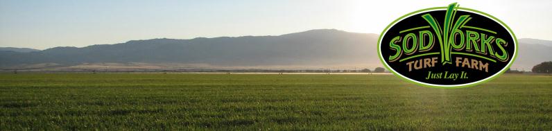 Our Montana Sod Farm